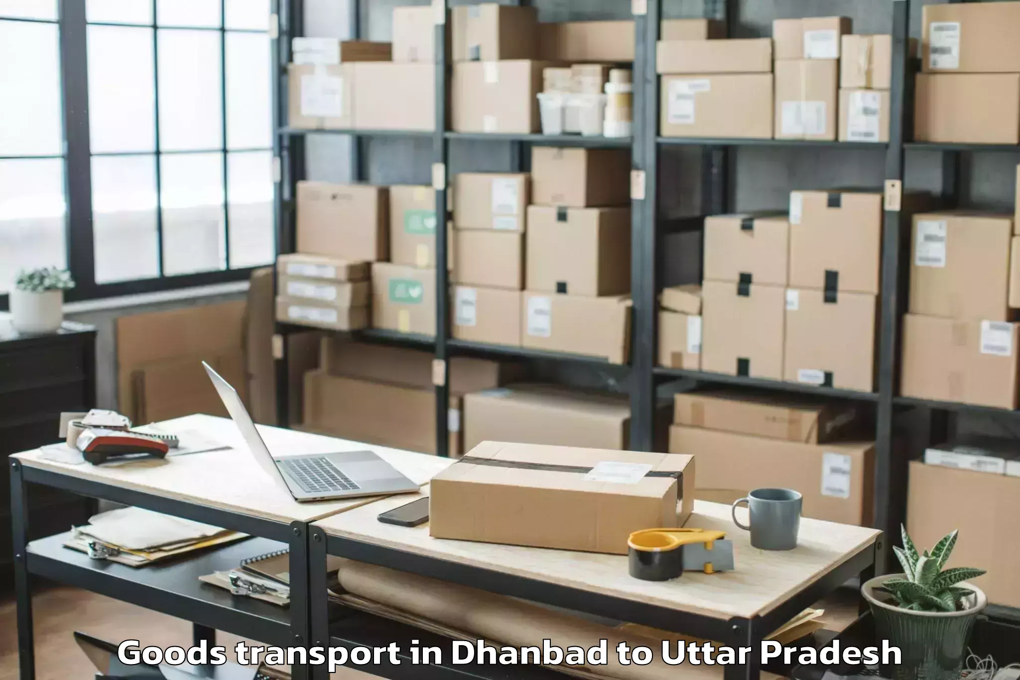 Professional Dhanbad to Phoenix United Mall Bareily Goods Transport